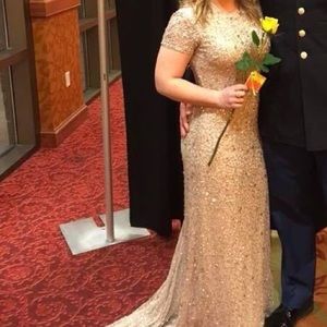 Adrianna Papell Evening Gown